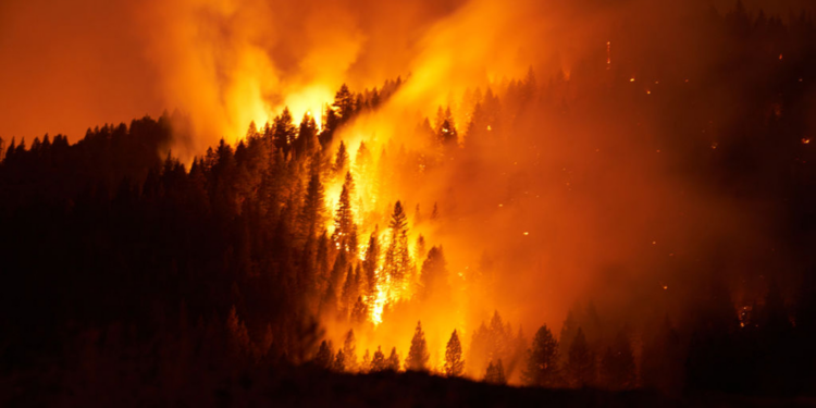 CA Fire Season on Pace to Match Record 2020