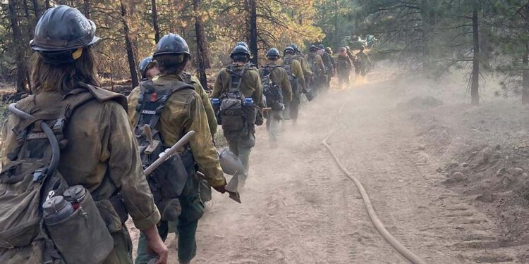 Forest Service reluctant to reveal how many firefighters have been hospitalized or killed in the line of duty by COVID-19