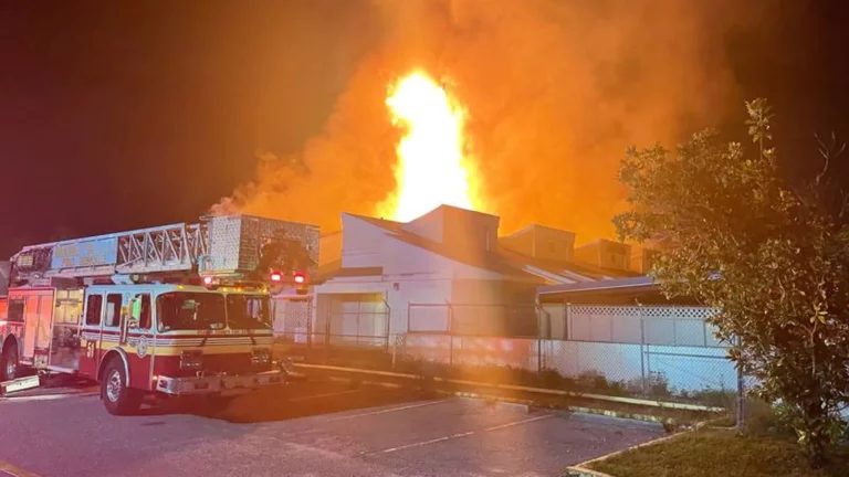 Dozens of Animals Killed in FL Pet Shelter Blaze