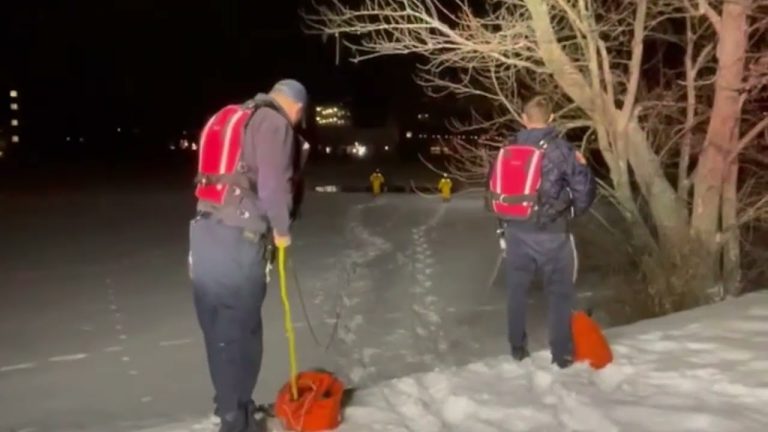 Drone-Guided Rescue Saves Dog From Frozen Pond in Massachusetts