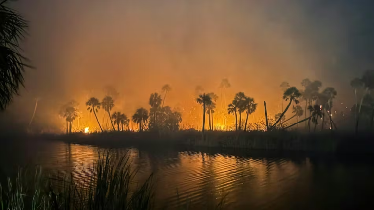 Drought, dry conditions fuel unprecedented wildfire crisis in Florida