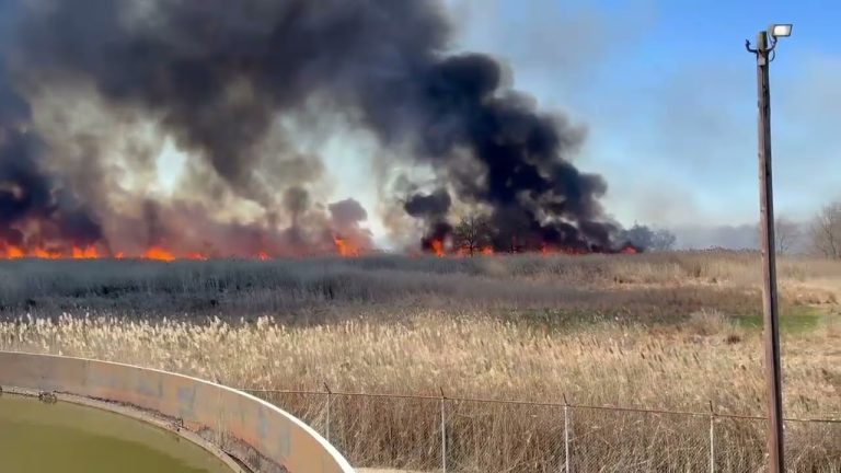 Brush fire in Gloucester County, N.J., contained after burning 160 acres