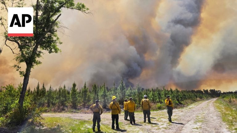 Southeast Wildfires Destroy Homes, Prompt Evacuations