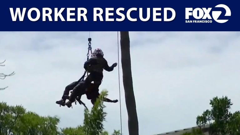 CAL FIRE Helicopter Crew Rescues Tree Worker With Medical Emergency