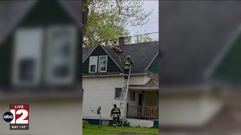 Saginaw Firefighters Rescue Boy From Roof in Michigan