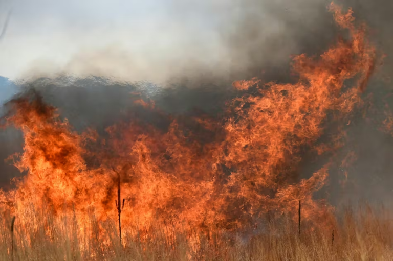U.S. Wildland Fire Service Strengthens Federal Support for Colorado Wildfire Response