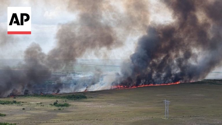 Southern Florida wildfires burn thousands of acres, disrupt roads and attractions