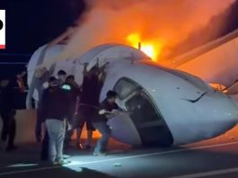 Bystanders Aid Rescue of Passengers After Cessna Jet Crashes on Loop 20 Near Laredo