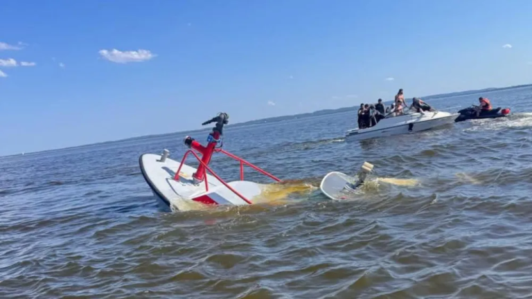 Carteret Fireboat Sinks After Whale Strike in Raritan Bay; Crew Rescued Safely