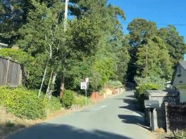 Oakland Fire Department Restricts Wildfire Inspections to Public Property After Firefighter Attacks