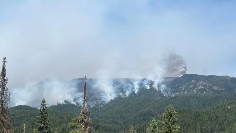 Washington National Guard Investigates Wildland Firefighters Pictured With Rhodesian Flag